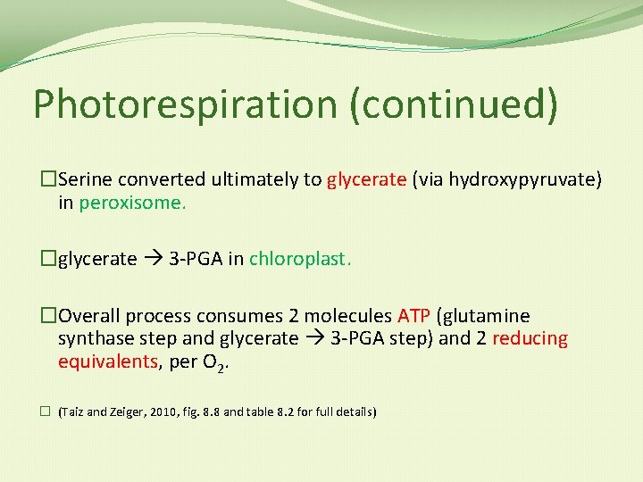 Photorespiration (continued) �Serine converted ultimately to glycerate (via hydroxypyruvate) in peroxisome. �glycerate 3 -PGA