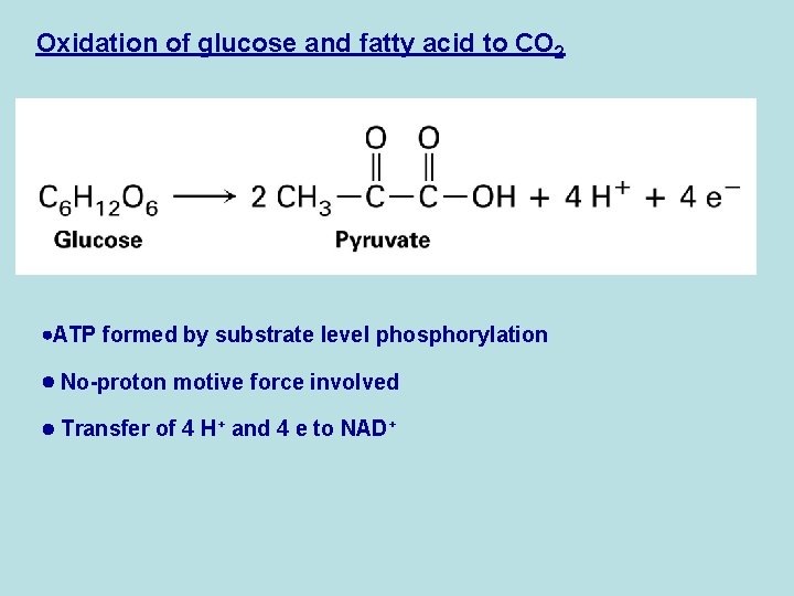 Oxidation of glucose and fatty acid to CO 2 ATP formed by substrate level