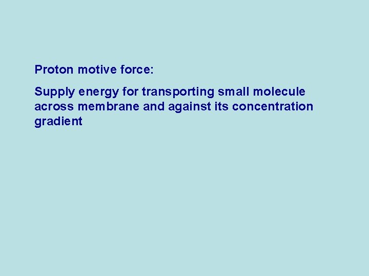 Proton motive force: Supply energy for transporting small molecule across membrane and against its