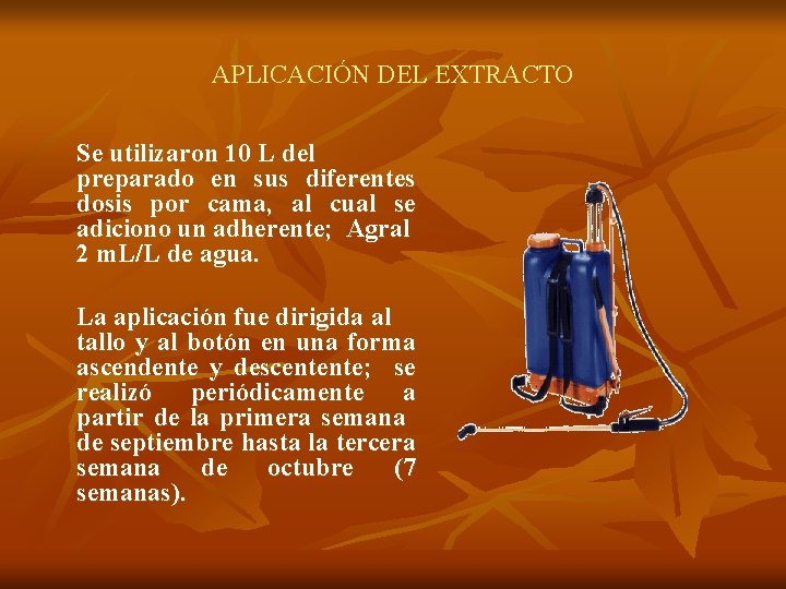 APLICACIÓN DEL EXTRACTO Se utilizaron 10 L del preparado en sus diferentes dosis por