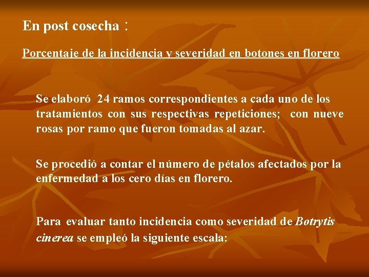 En post cosecha : Porcentaje de la incidencia y severidad en botones en florero