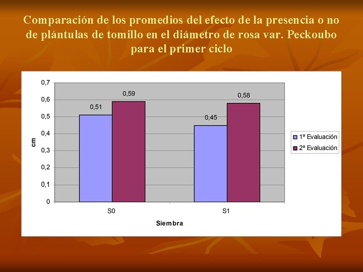 Comparación de los promedios del efecto de la presencia o no de plántulas de