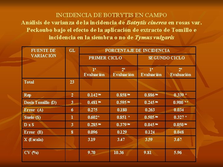 INCIDENCIA DE BOTRYTIS EN CAMPO Análisis de varianza de la incidencia de Botrytis cinerea