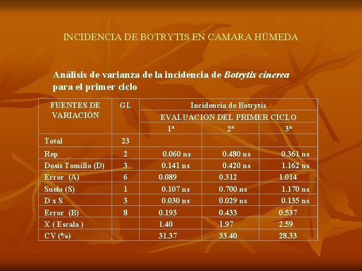 INCIDENCIA DE BOTRYTIS EN CAMARA HÚMEDA Análisis de varianza de la incidencia de Botrytis