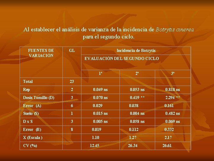 Al establecer el análisis de varianza de la incidencia de Botrytis cinerea para el