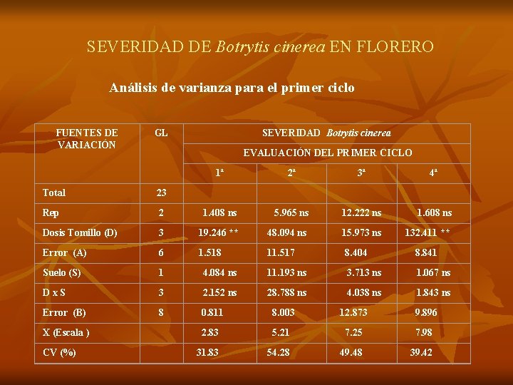 SEVERIDAD DE Botrytis cinerea EN FLORERO Análisis de varianza para el primer ciclo FUENTES