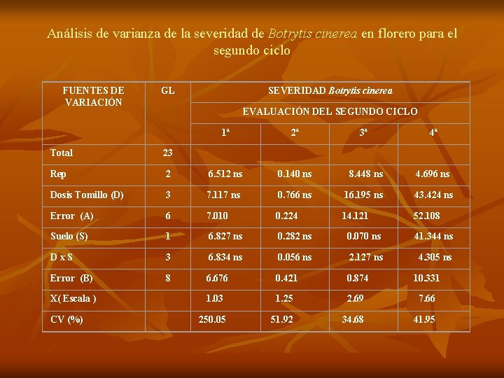 Análisis de varianza de la severidad de Botrytis cinerea en florero para el segundo