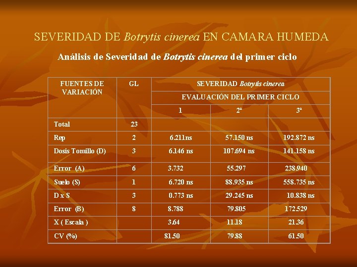 SEVERIDAD DE Botrytis cinerea EN CAMARA HUMEDA Análisis de Severidad de Botrytis cinerea del