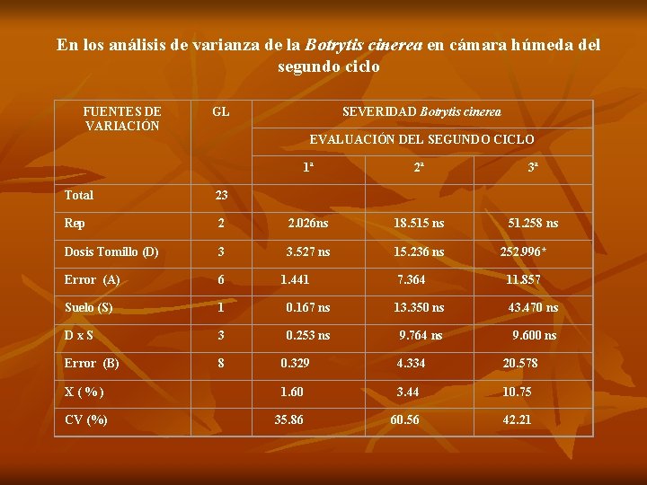 En los análisis de varianza de la Botrytis cinerea en cámara húmeda del segundo