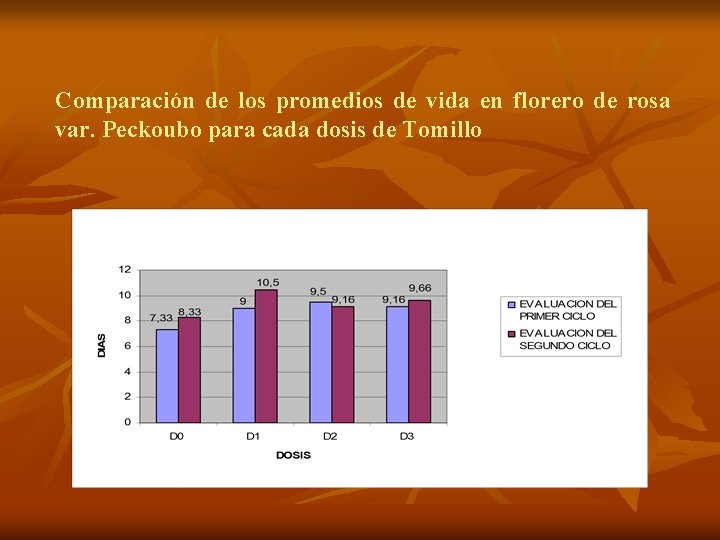 Comparación de los promedios de vida en florero de rosa var. Peckoubo para cada