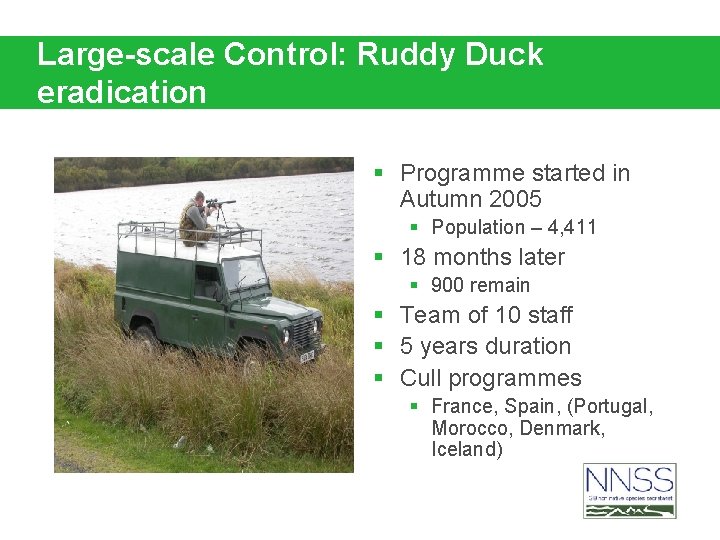 Large-scale Control: Ruddy Duck eradication § Programme started in Autumn 2005 § Population –