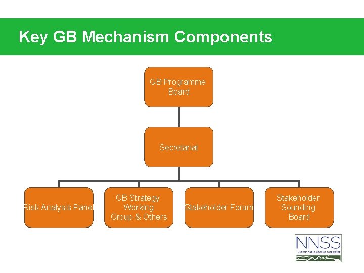 Key GB Mechanism Components GB Programme Board Secretariat Risk Analysis Panel GB Strategy Working