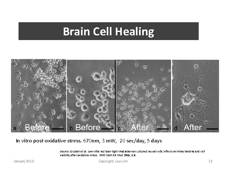 Brain Cell Healing In vitro post-oxidative stress. 670 nm, 3 m. W, 20 sec/day,
