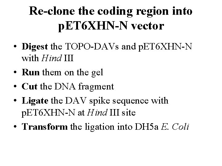 Re-clone the coding region into p. ET 6 XHN-N vector • Digest the TOPO-DAVs