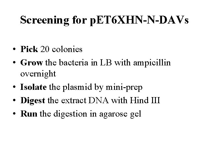 Screening for p. ET 6 XHN-N-DAVs • Pick 20 colonies • Grow the bacteria