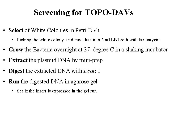 Screening for TOPO-DAVs • Select of White Colonies in Petri Dish • Picking the