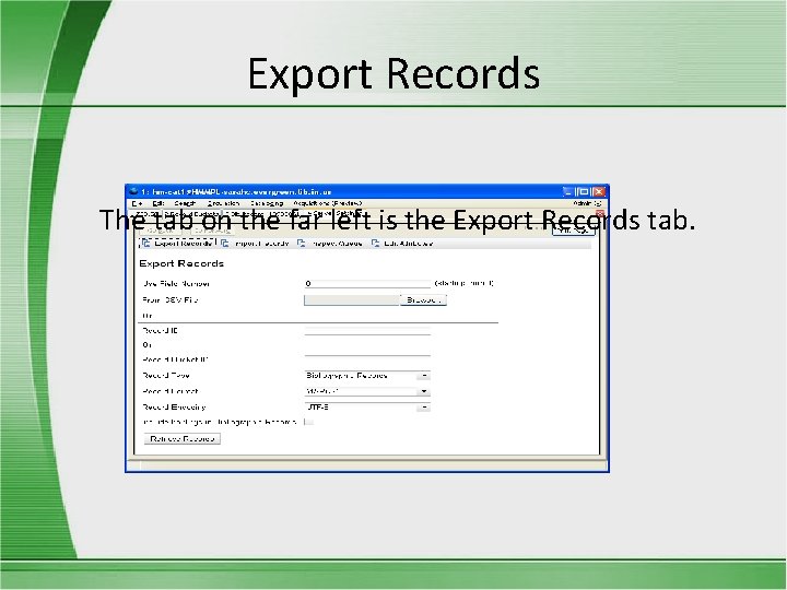 Export Records The tab on the far left is the Export Records tab. 