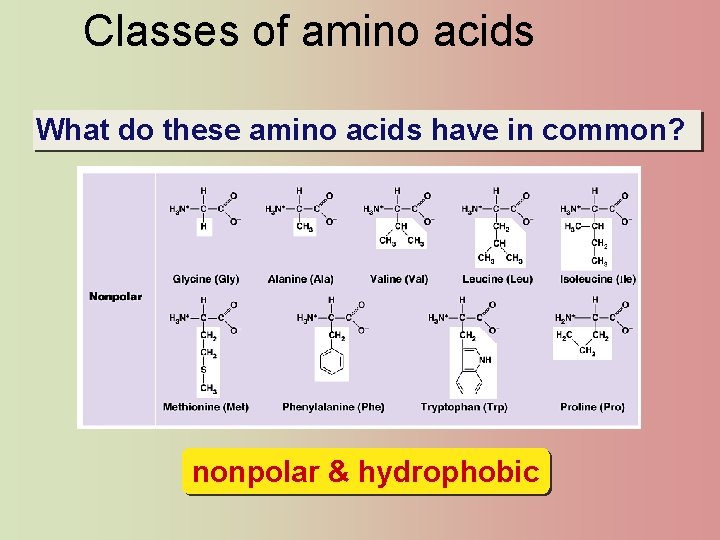 Classes of amino acids What do these amino acids have in common? nonpolar &