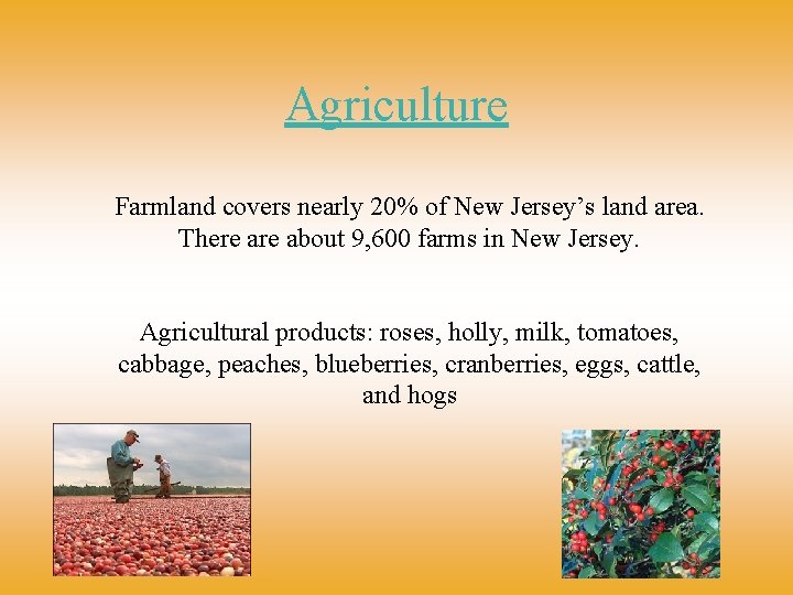 Agriculture Farmland covers nearly 20% of New Jersey’s land area. There about 9, 600
