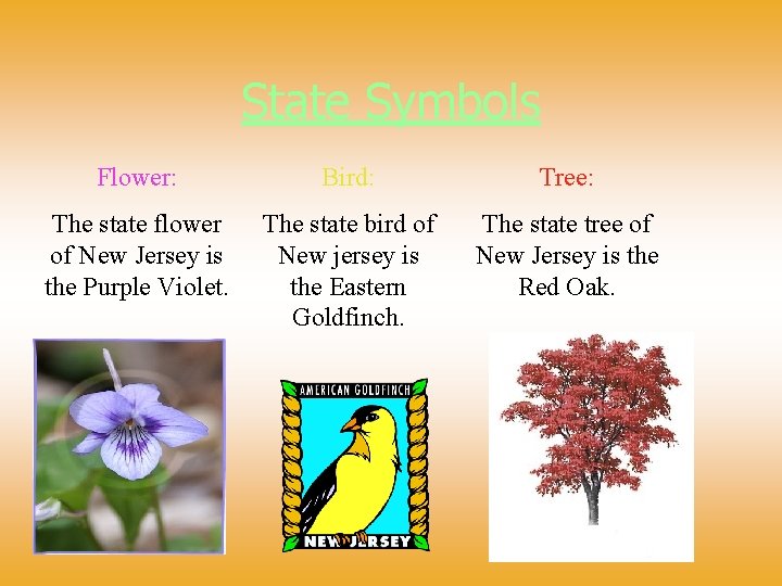 State Symbols Flower: Bird: Tree: The state flower of New Jersey is the Purple