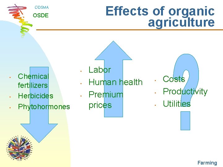 Effects of organic agriculture ODSMA OSDE • • • Chemical fertilizers Herbicides Phytohormones •