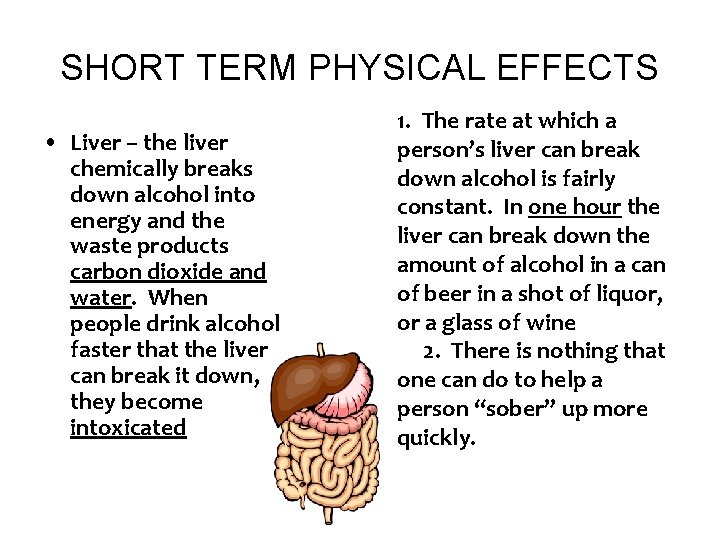 SHORT TERM PHYSICAL EFFECTS • Liver – the liver chemically breaks down alcohol into