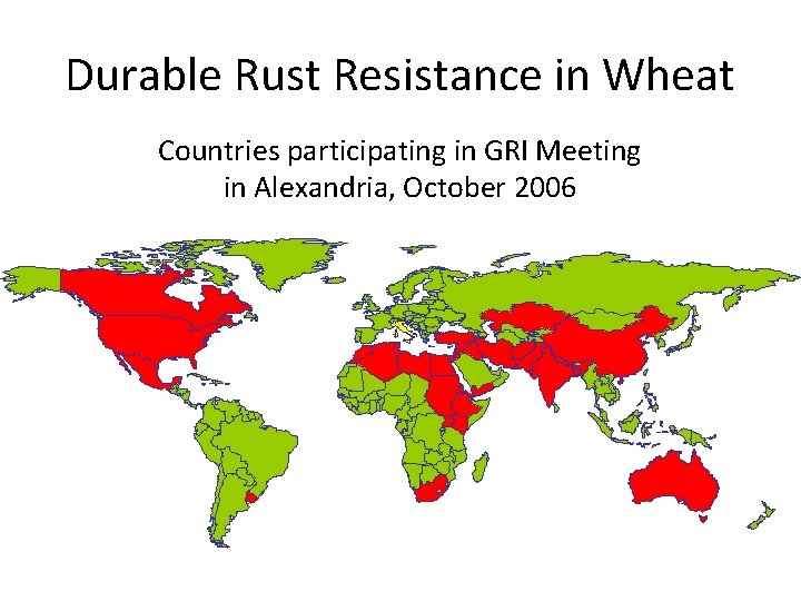 Durable Rust Resistance in Wheat Countries participating in GRI Meeting in Alexandria, October 2006