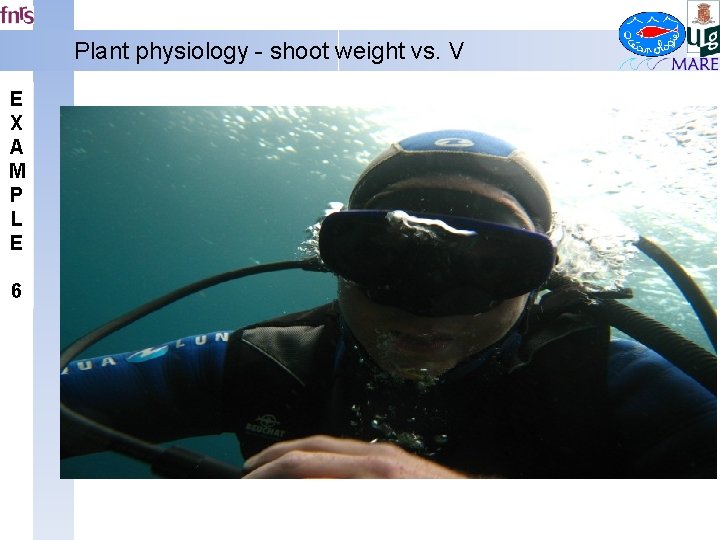 Plant physiology - shoot weight vs. V E X A M P L E