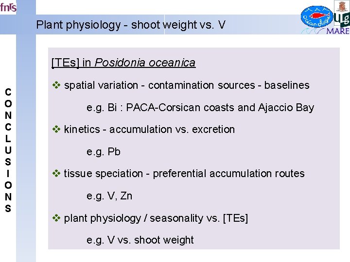 Plant physiology - shoot weight vs. V [TEs] in Posidonia oceanica C O N