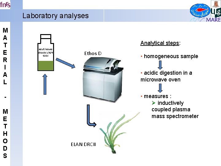 Laboratory analyses M A T E R I A L Analytical steps: adult leaves