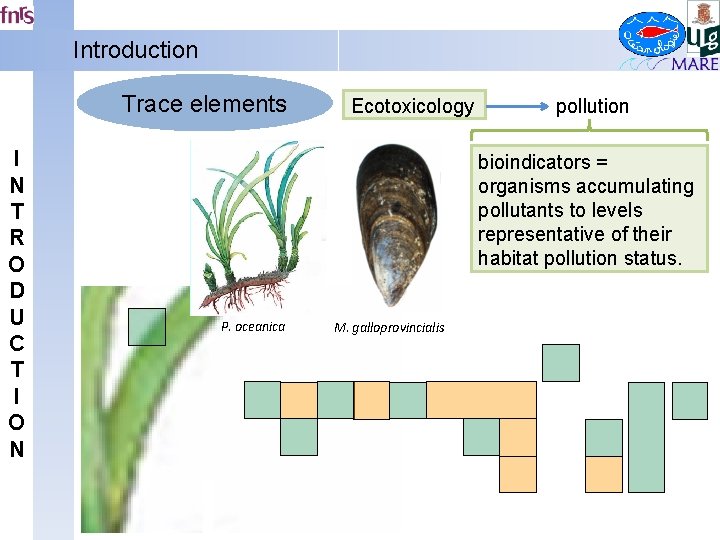 Introduction Trace elements I N T R O D U C T I O