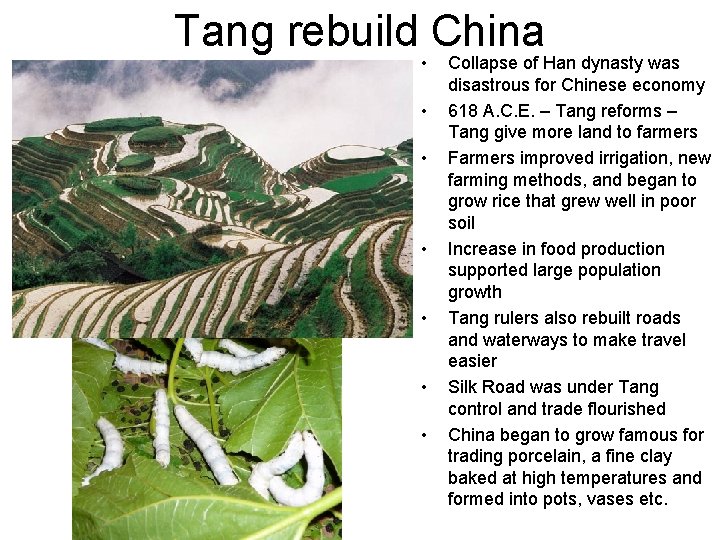 Tang rebuild China • • Collapse of Han dynasty was disastrous for Chinese economy
