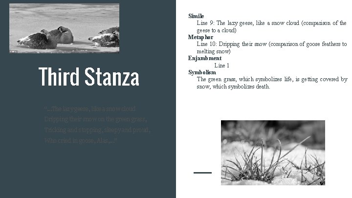 Third Stanza “. . . The lazy geese, like a snow cloud Dripping their