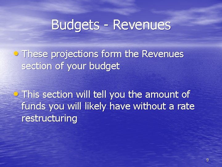 Budgets - Revenues • These projections form the Revenues section of your budget •