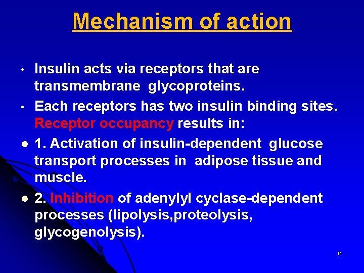 Mechanism of action • • l l Insulin acts via receptors that are transmembrane