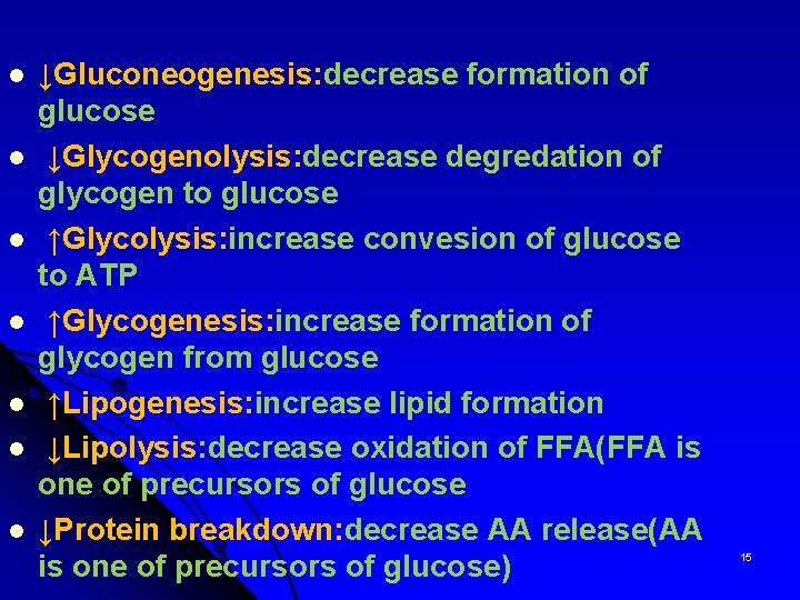 l l l l ↓Gluconeogenesis: decrease formation of glucose ↓Glycogenolysis: decrease degredation of glycogen