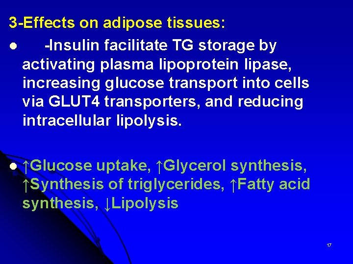 3 -Effects on adipose tissues: l -Insulin facilitate TG storage by activating plasma lipoprotein