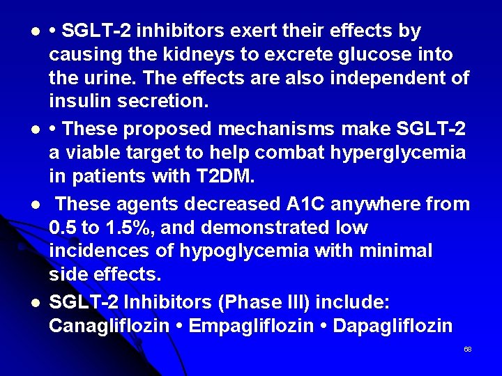 l l • SGLT-2 inhibitors exert their effects by causing the kidneys to excrete