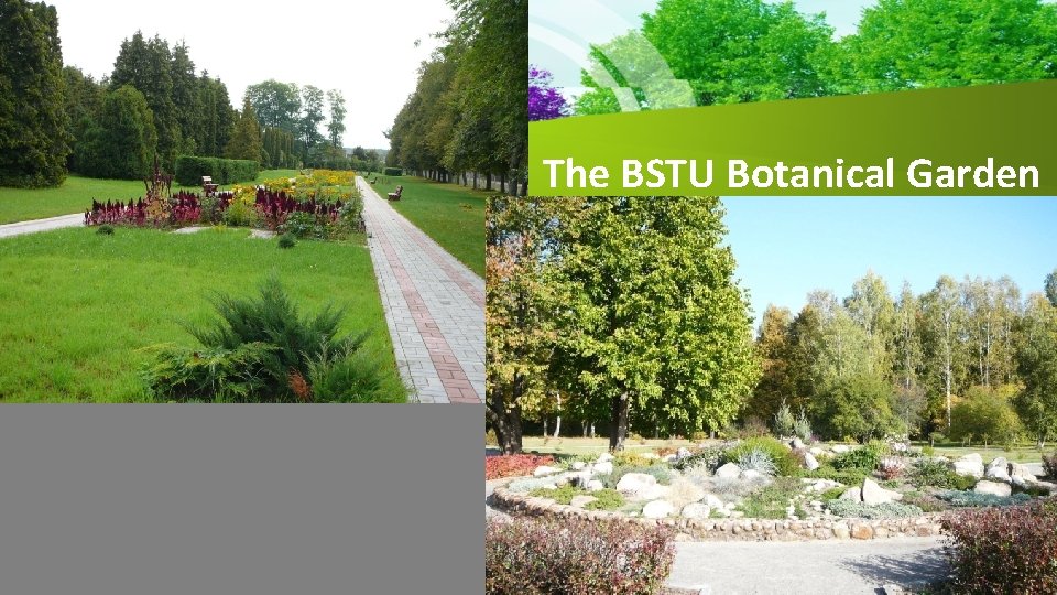 The BSTU Botanical Garden 