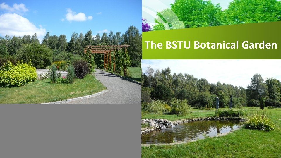 The BSTU Botanical Garden 