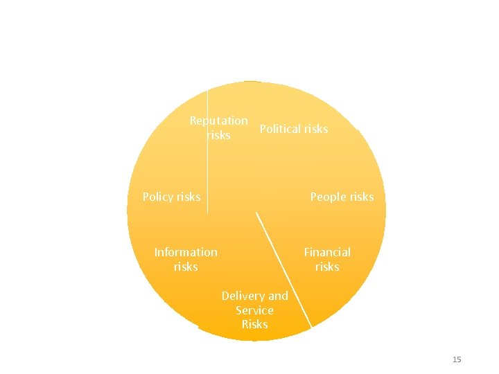 Reputation Political risks Policy risks People risks Information risks Financial risks Delivery and Service