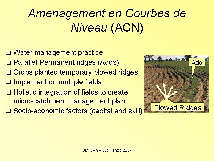 Amenagement en Courbes de Niveau (ACN) Water management practice Parallel-Permanent ridges (Ados) Crops planted