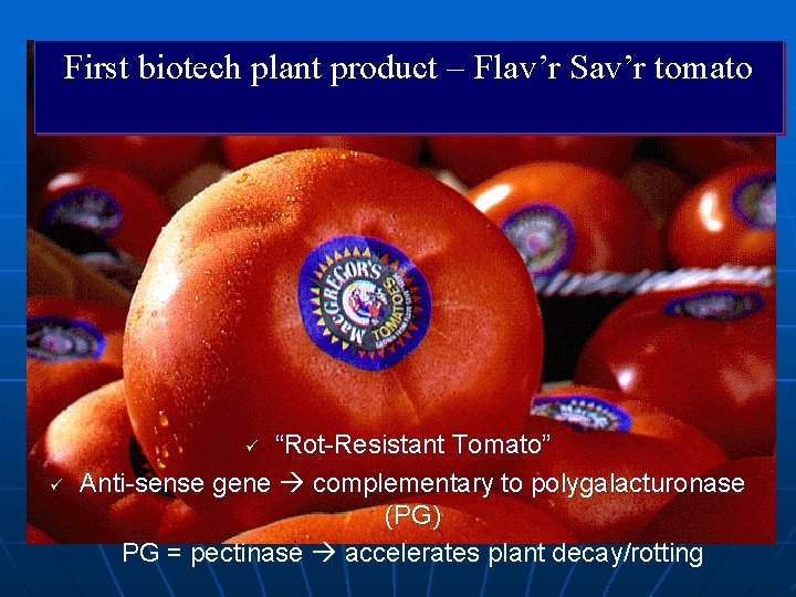 First biotech plant product – Flav’r Sav’r tomato “Rot-Resistant Tomato” Anti-sense gene complementary to