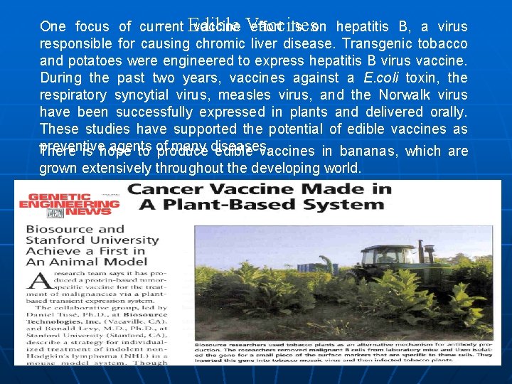One focus of current Edible vaccine Vaccines effort is on hepatitis B, a virus