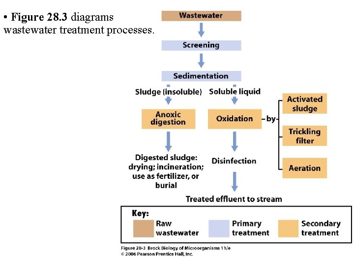  • Figure 28. 3 diagrams wastewater treatment processes. 