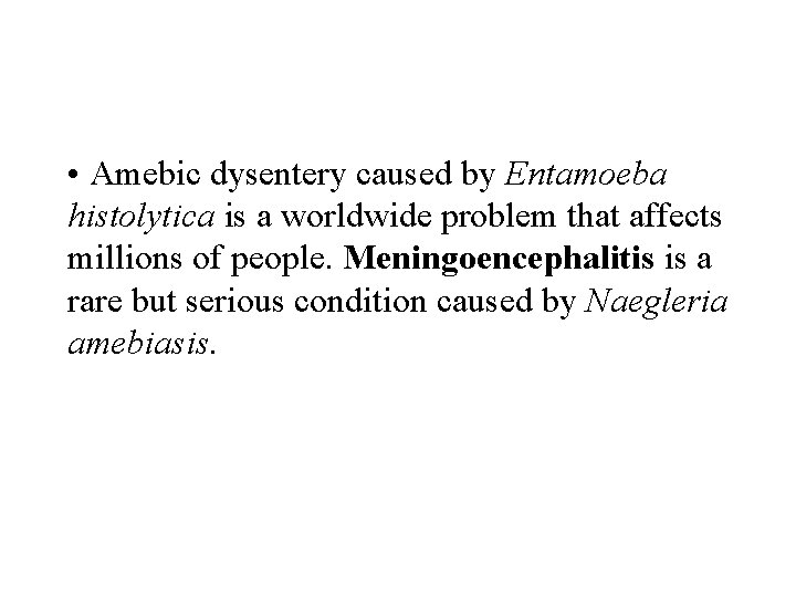  • Amebic dysentery caused by Entamoeba histolytica is a worldwide problem that affects
