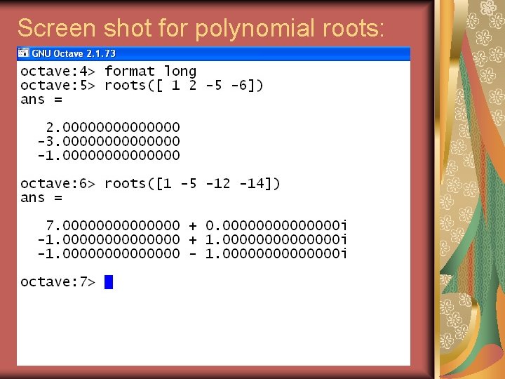 Screen shot for polynomial roots: 