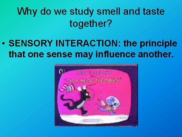 Why do we study smell and taste together? • SENSORY INTERACTION: the principle that