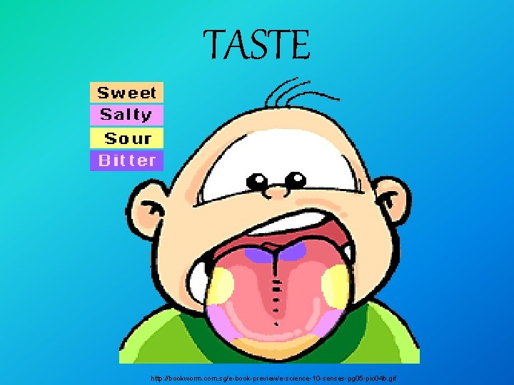 TASTE http: //bookworm. com. sg/e-book-preview/e-science-10 -senses-pg 05 -pic 04 b. gif 