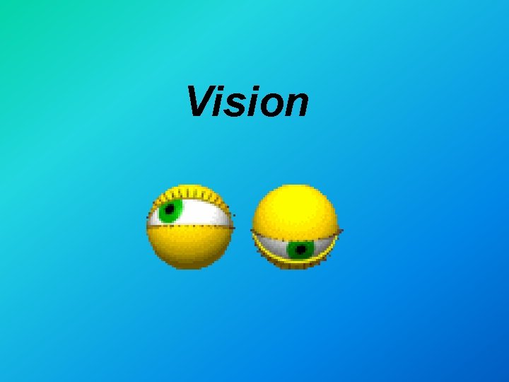 Vision 
